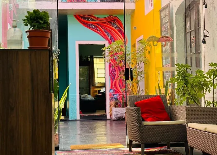 Maison Verte - Budget Edition