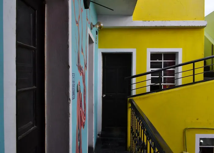 Maison Verte - Budget Edition
