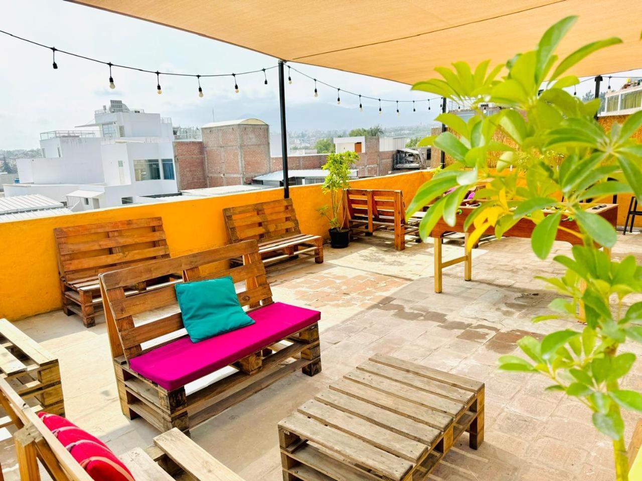 Maison Verte - Budget Edition Hostel