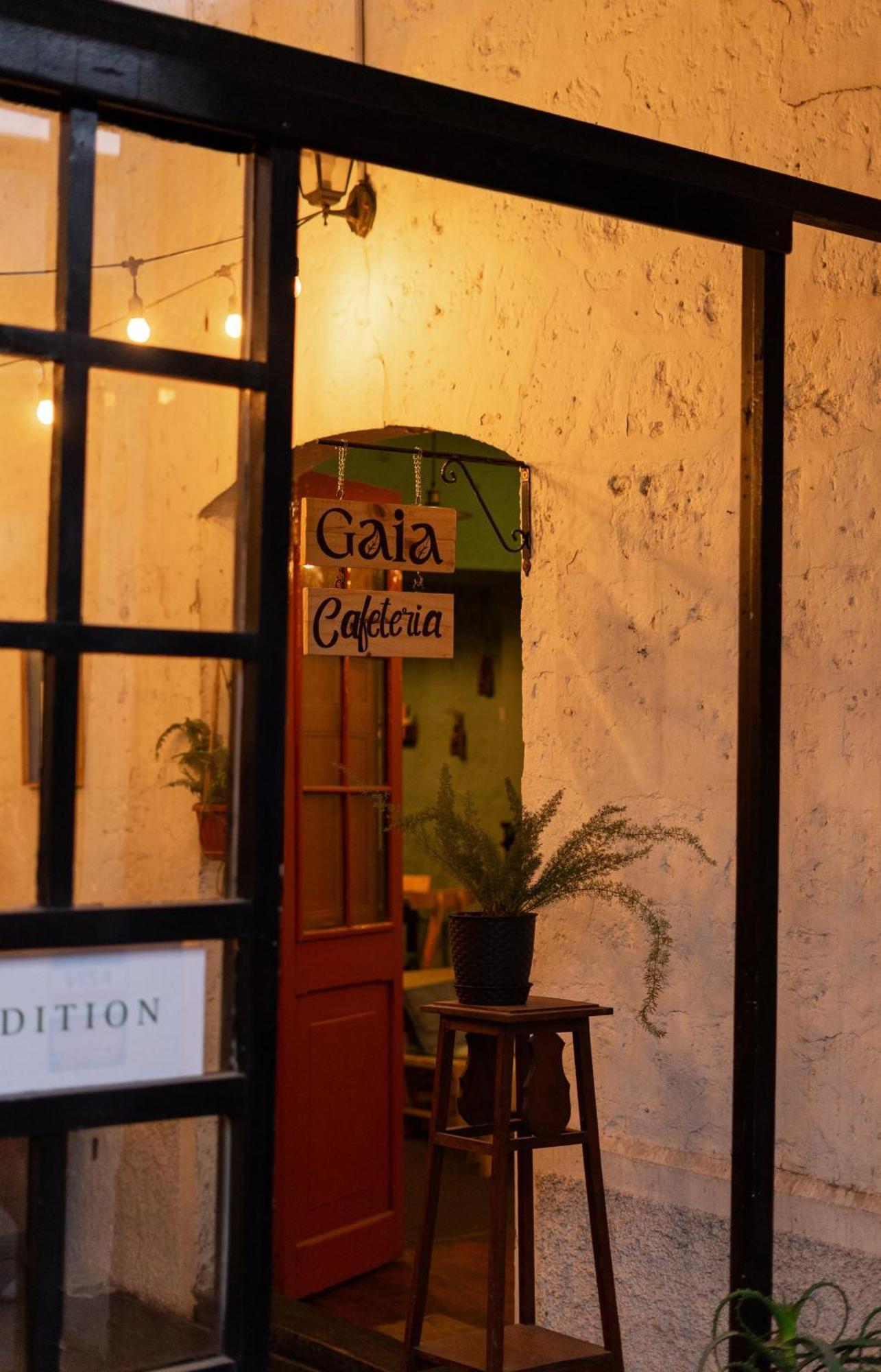 Maison Verte - Budget Edition Hostel