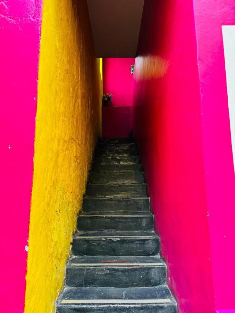 Maison Verte - Budget Edition * Arequipa