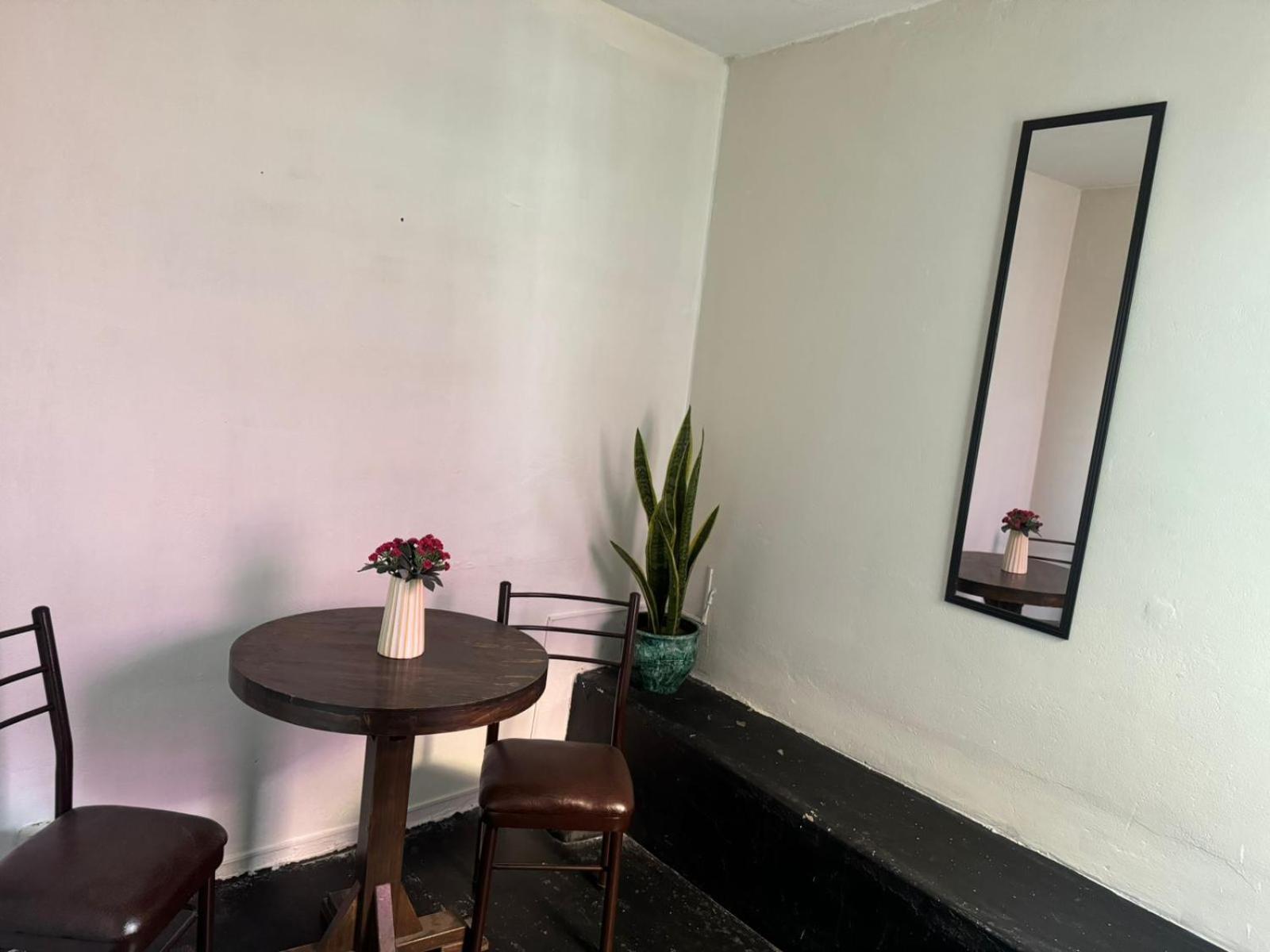 Maison Verte - Budget Edition